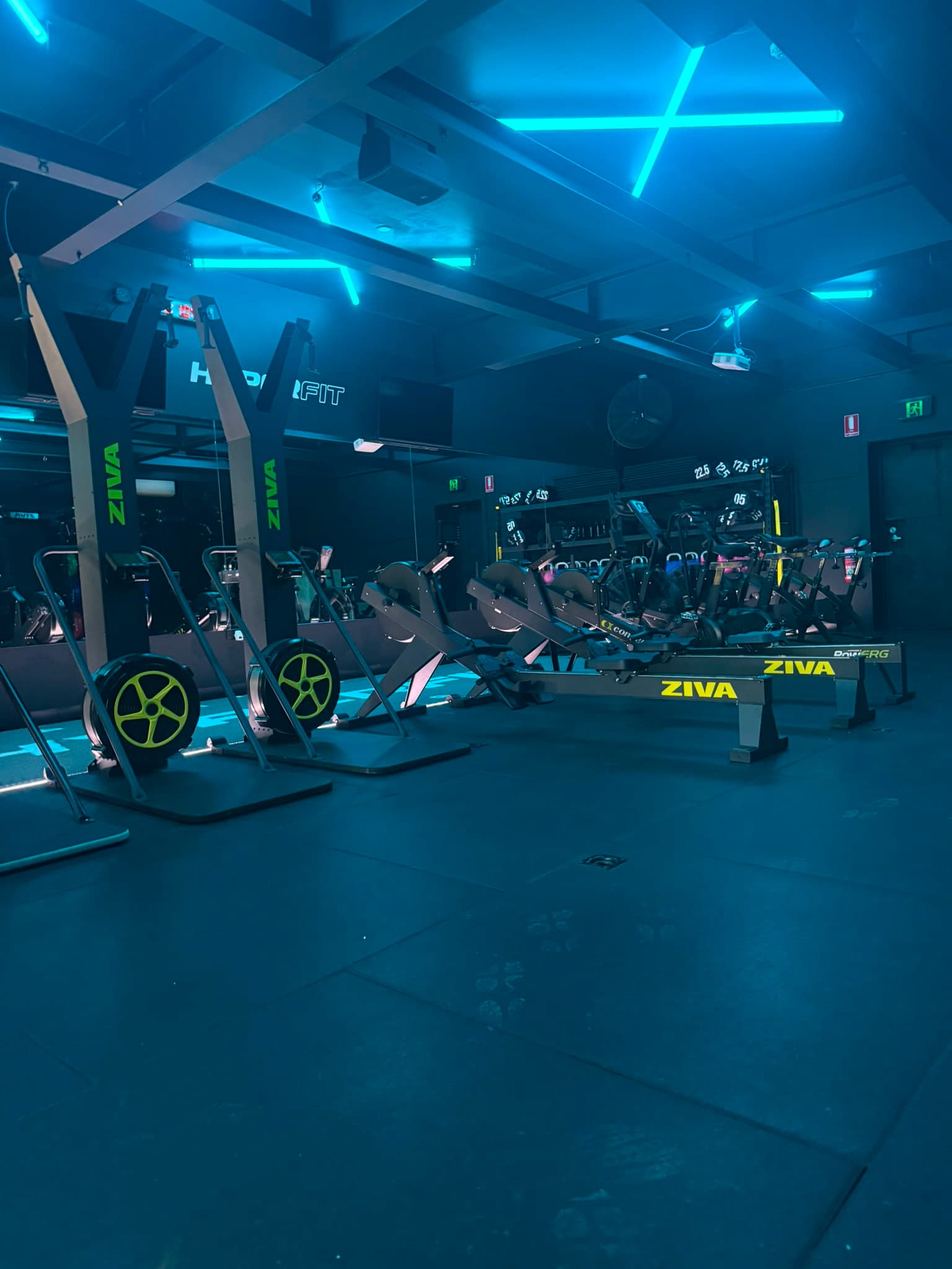 ZIVA rowers and ski ergs on the functional training floor
