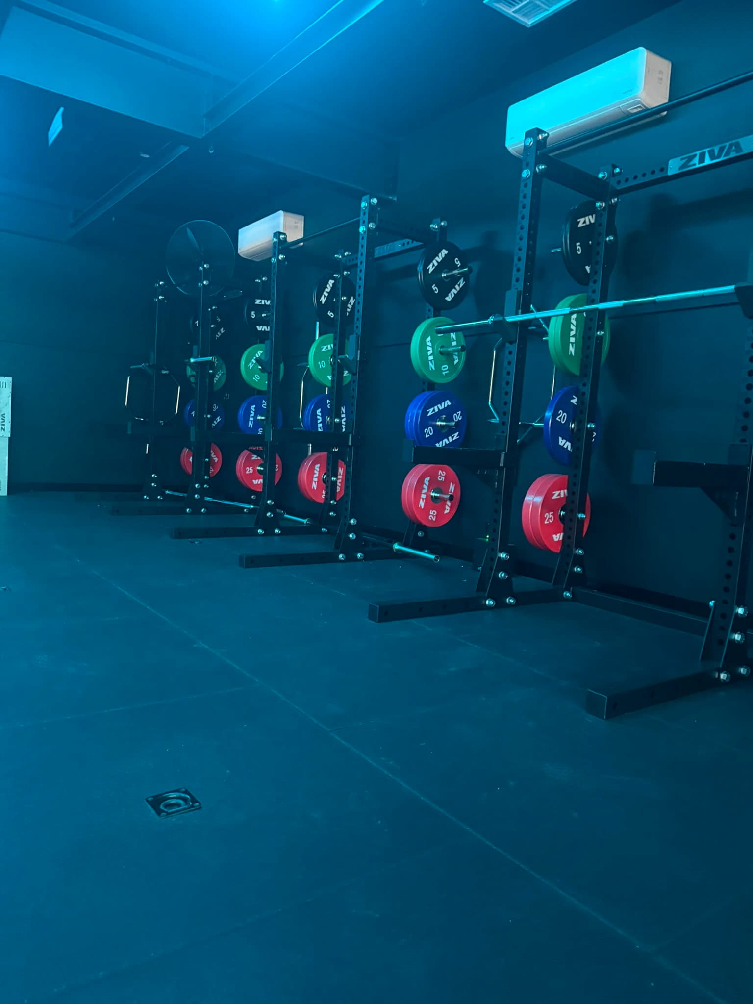 ZIVA squat racks loaded with coloured bumper plates