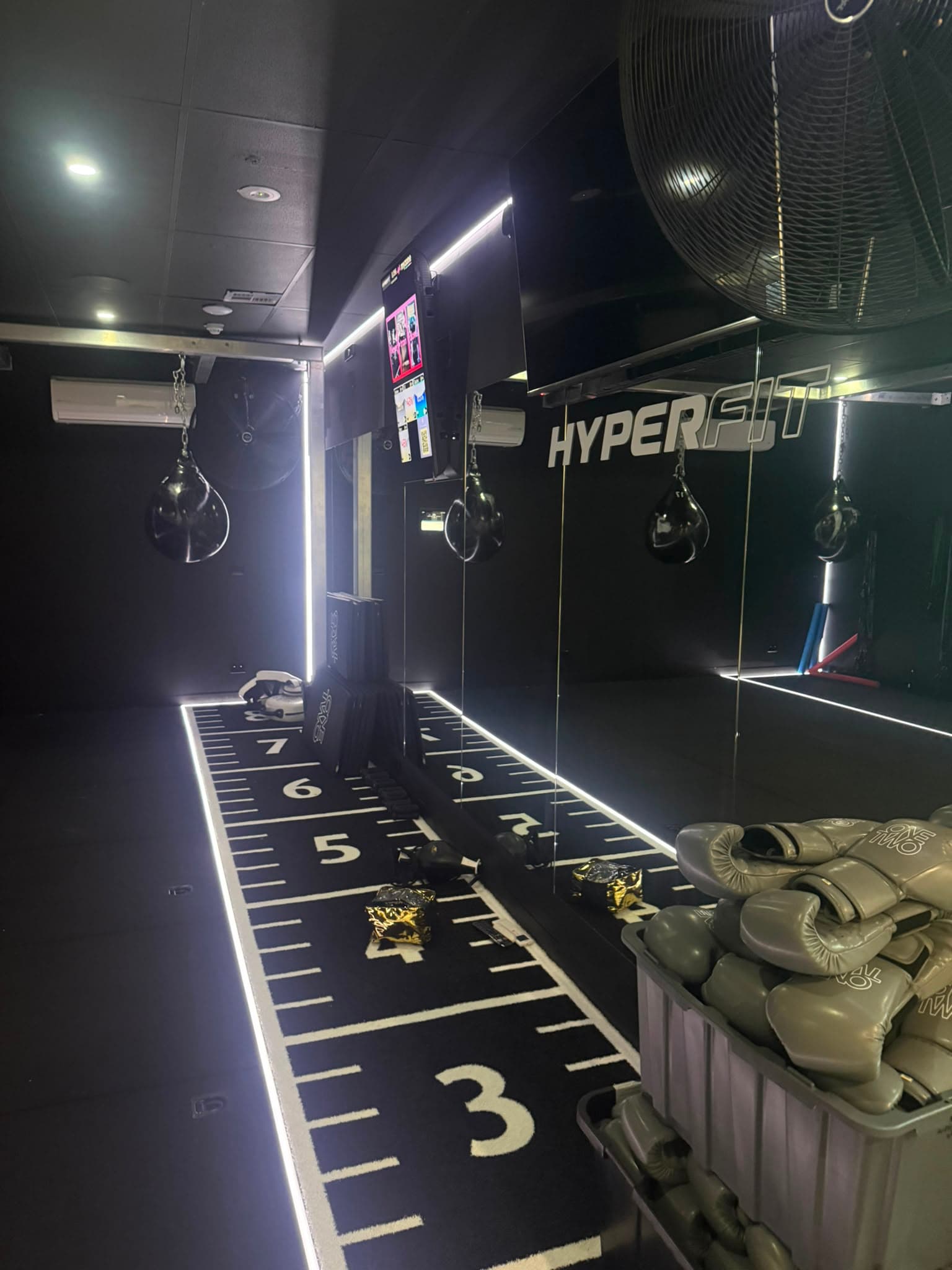 The Hyper Chamber boxing room with agility track and speed bags