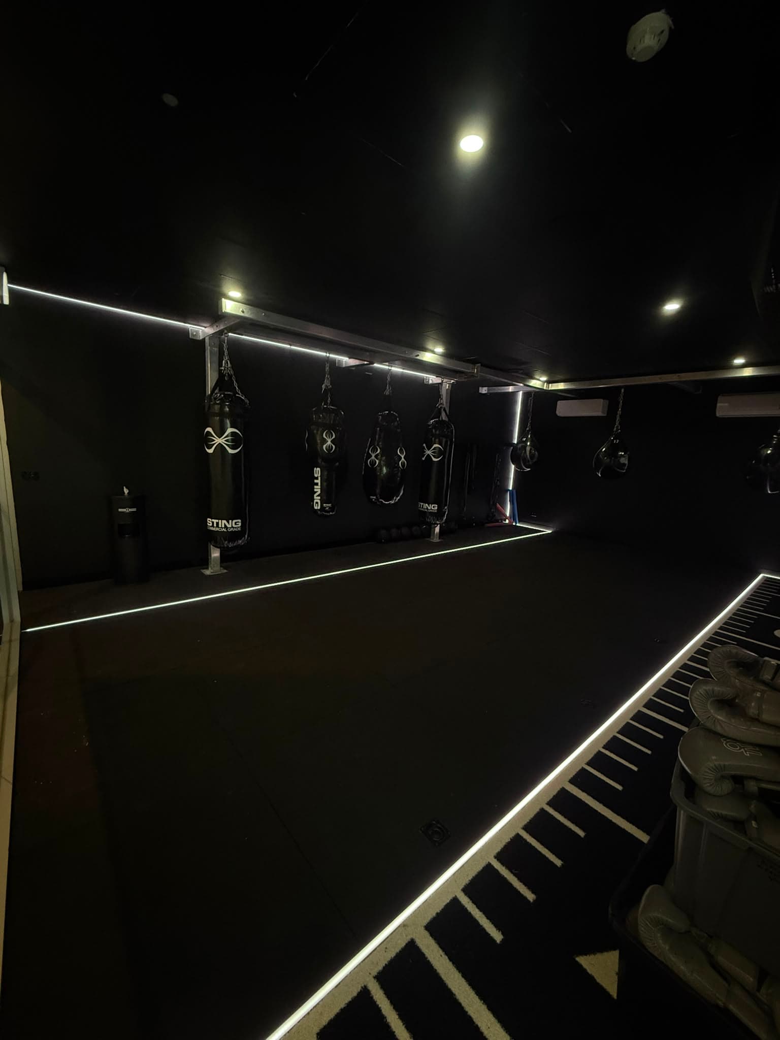 Boxing room with STING heavy bags and neon strip lighting